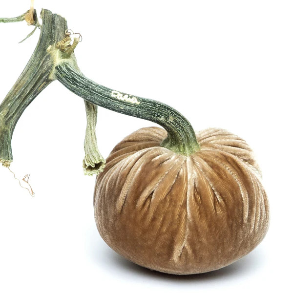 Mocha Silk Velvet Pumpkin | Hot Skwash