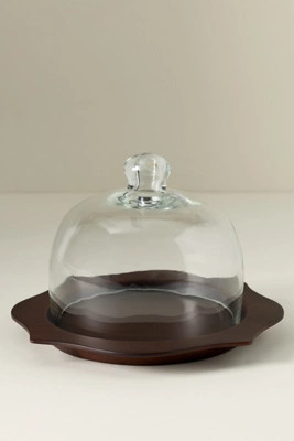 Romie Glass Dome | Anthropologie (US)