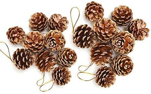 Amazon.com: Gukasxi Natural Pine Cones 18Pcs Christmas Pine Cone Ornaments Gold Fall Winter Holid... | Amazon (US)