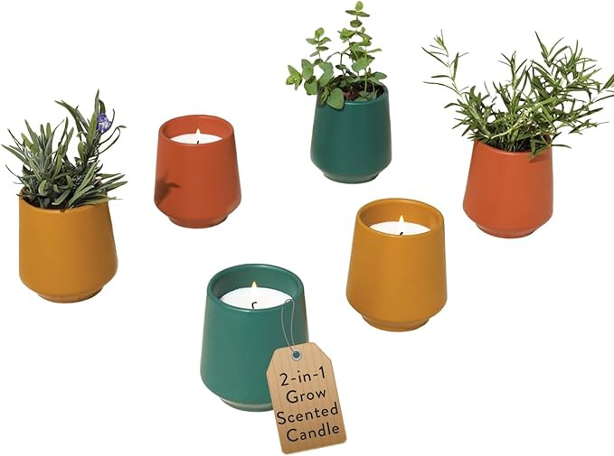 Modern Sprout Rooted Candle (Pack of 3) - 2 in 1 Scented Candles with Seeds That Grows into Plant... | Amazon (US)