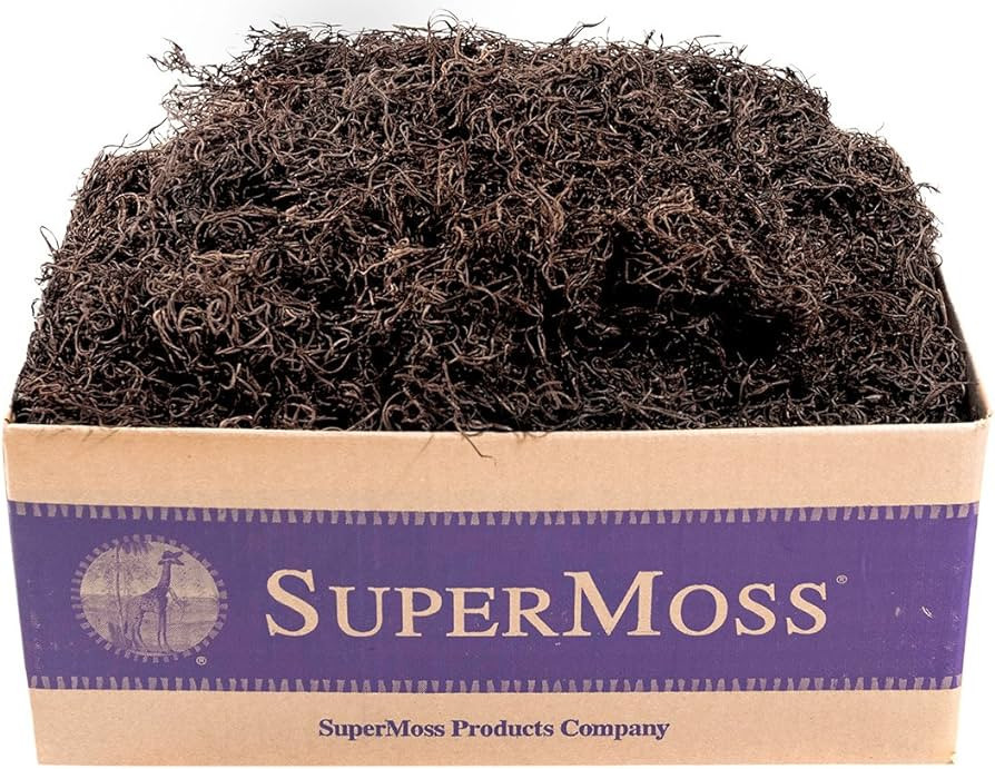 SuperMoss (27016) Spanish Moss Preserved, Coffee, 3lbs | Amazon (US)