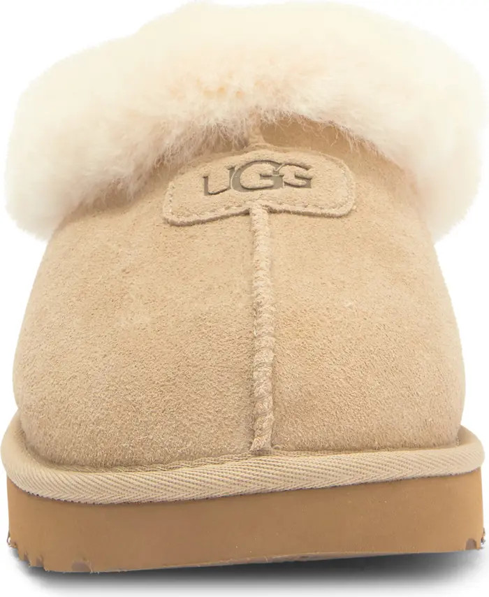 Tazzette Genuine Shearling Collar Slipper (Women) | Nordstrom