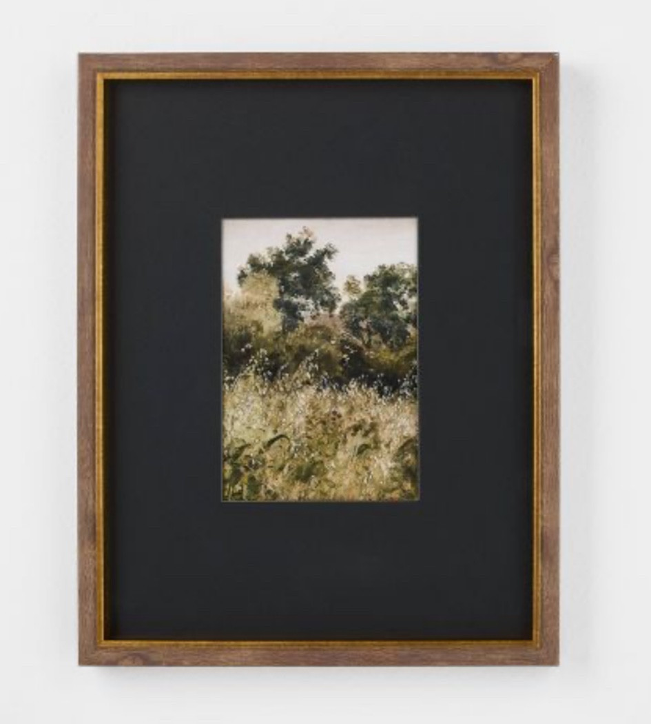 11"x14" Forest Landscape Framed Wall Art - Threshold™ designed with Studio McGee

#LTKHome #LTKStyleTip #LTKFindsUnder50
