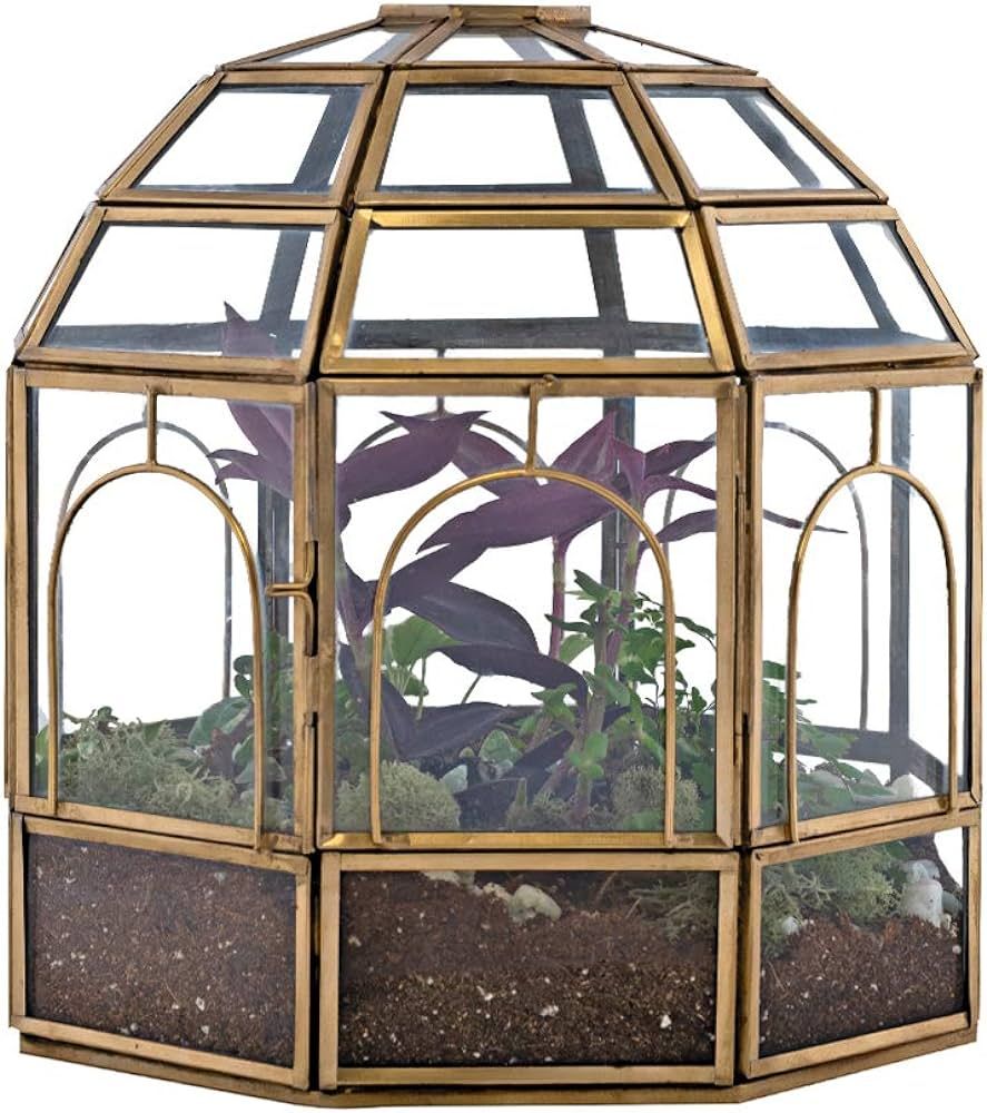 Urban Born Handmade Birdcage Large Glass Terrarium — 10" x 9" x 9" (Brass) | Amazon (US)