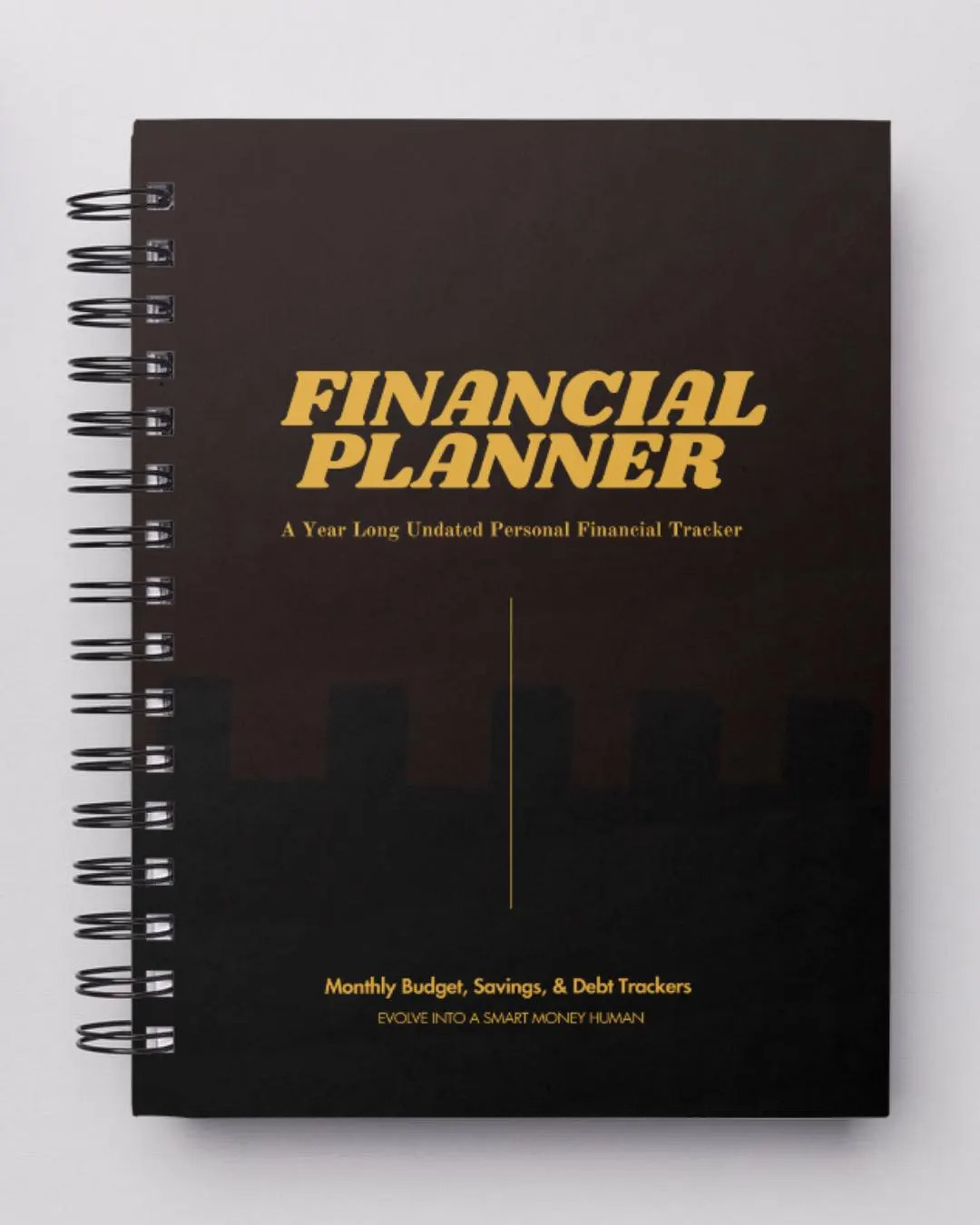 12-month Financial Planner: Budget, Savings & Debt Tracker (6x9 Inches) - Etsy | Etsy (US)