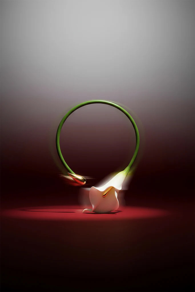 CALLA VINE CHOKER - WHITE | Cult Gaia - US