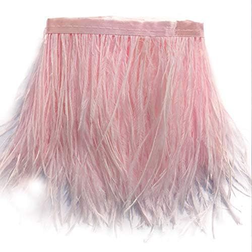 Sowder Ostrich Feathers Trims Fringe with Satin Ribbon Tape Dress Sewing Crafts Costumes Decorati... | Amazon (US)