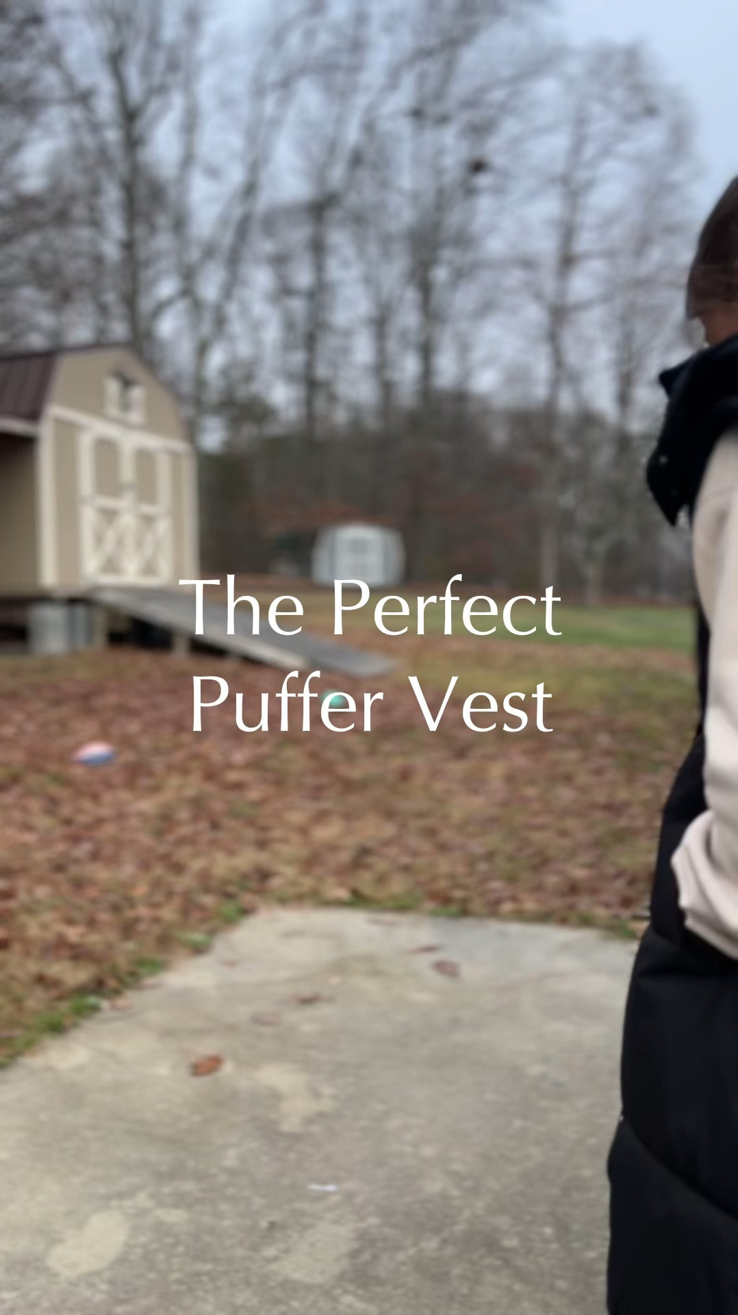 Long puffer vest, so cozy, thick, lightweight, soft, warm, pockets, removable hood, black, belt, multiple colors, TikTok shop! Perfect for fall/winter! Running errands outfit, toddler mom!


Wearing size small - true to size!

#LTKWatchNow #LTKSeasonal #LTKStyleTip