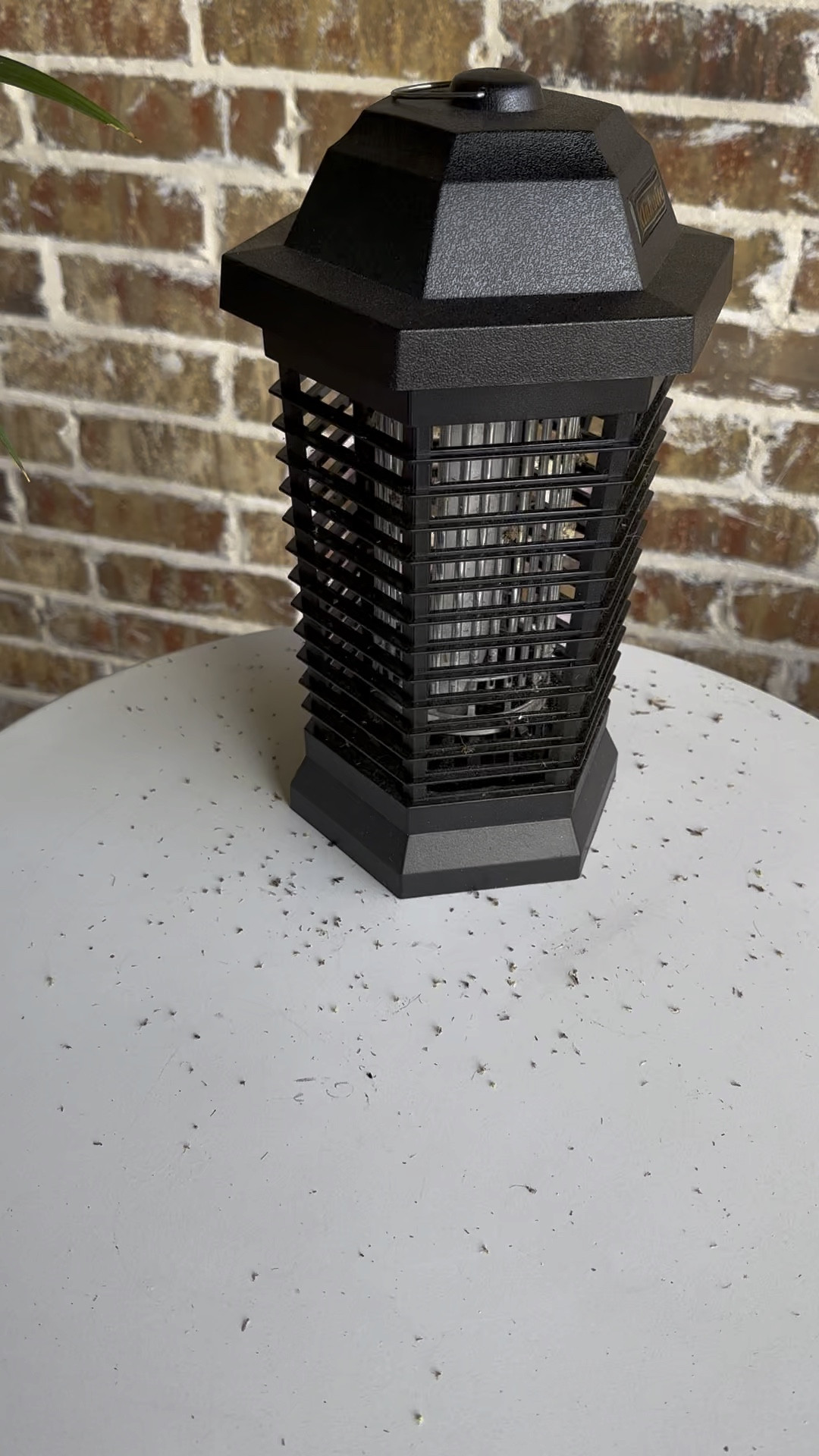 The viral bug zapper doing it’s job! This was the next morning. Check out all those bugs! So gross  

#LTKhome #LTKFind #LTKxPrimeDay