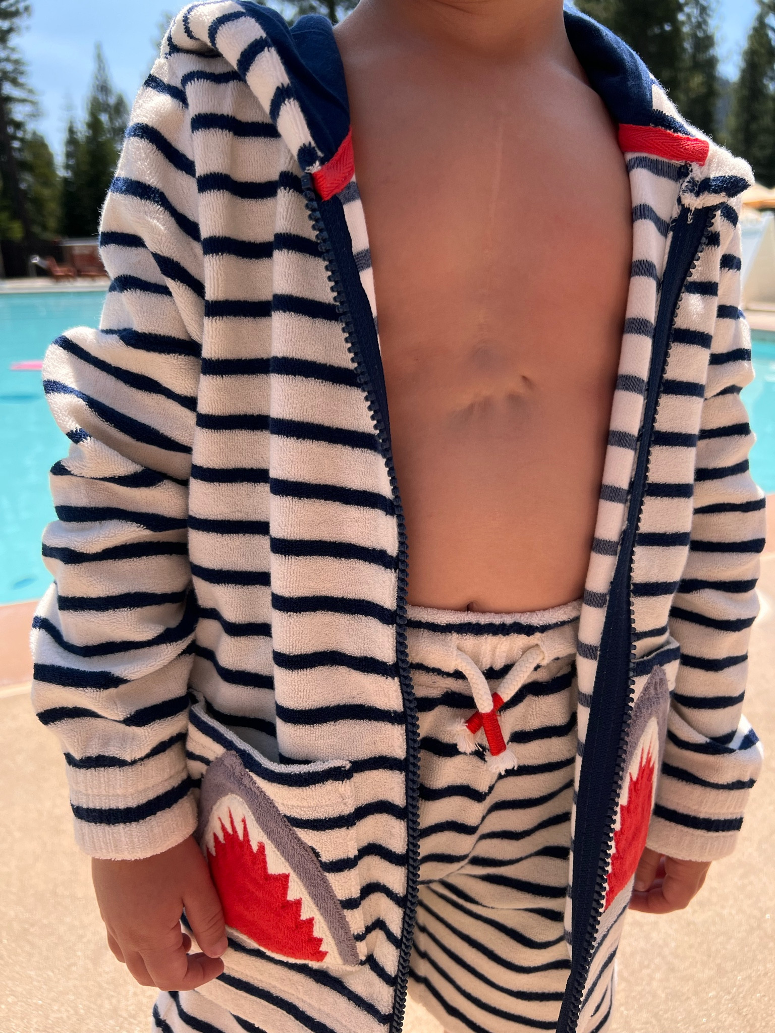 Shark Sweats 🦈 

#beach #sweats #shark #beachoutfit #swimsuits #kidsclothing 

#LTKSeasonal #LTKSwim #LTKSummerSales