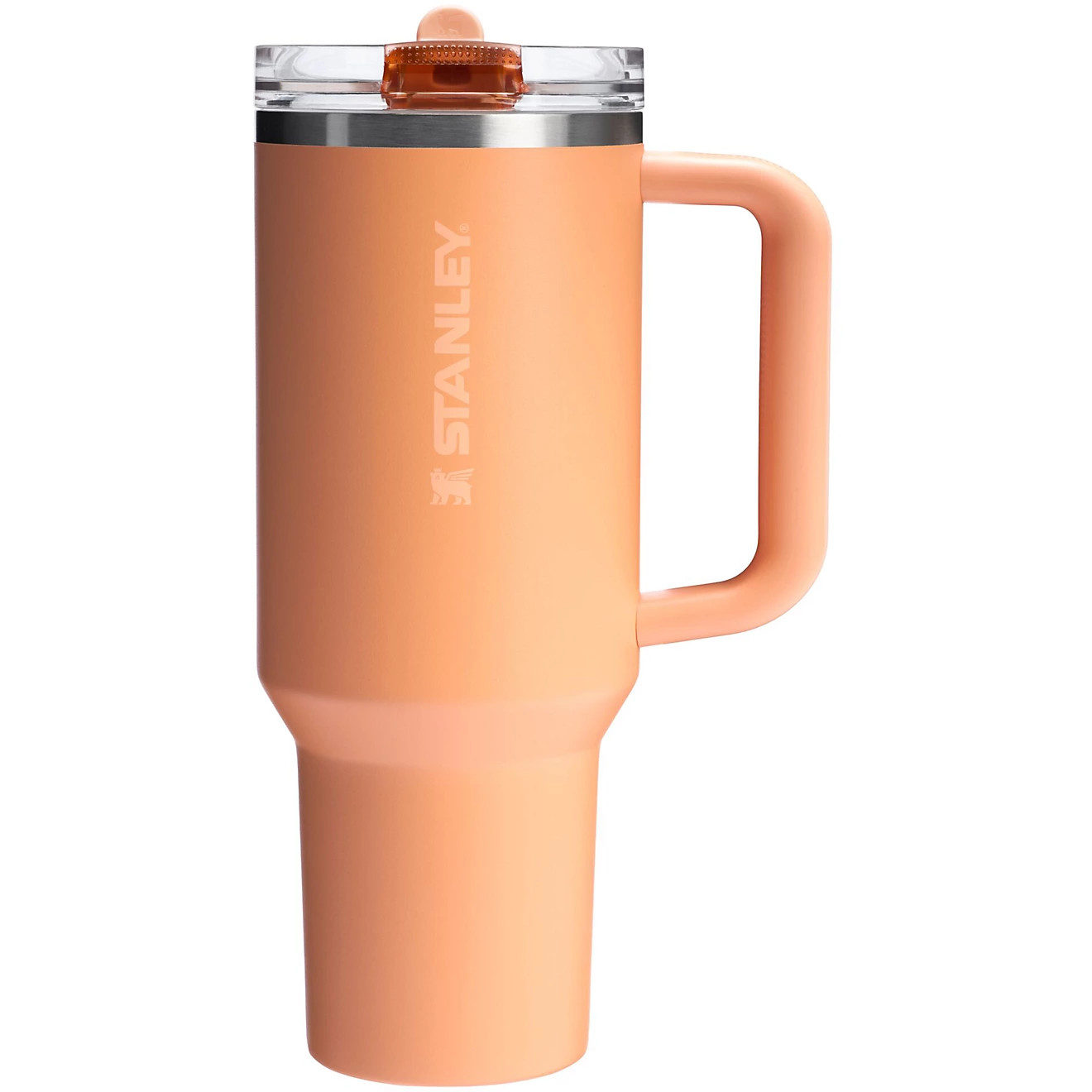 Stanley Quencher Protour Oasis 40 oz Tumbler | Academy Sports + Outdoors