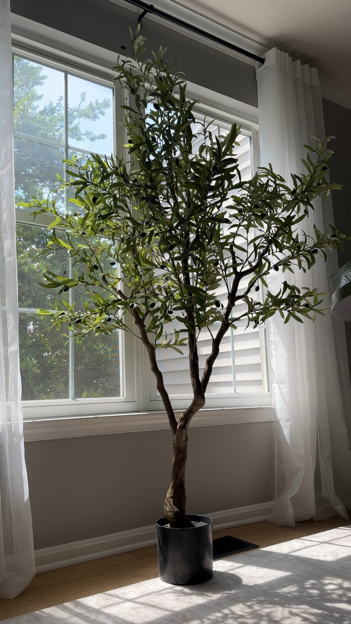 The most realistic Amazon olive tree! It’s beautiful and at such a great price!

#LTKHome