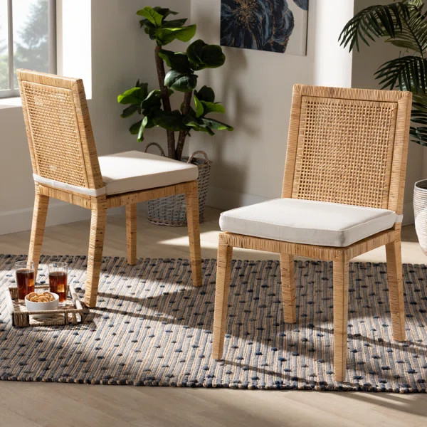 Haxby Side Chair in Brown (Set of 2) | Wayfair North America