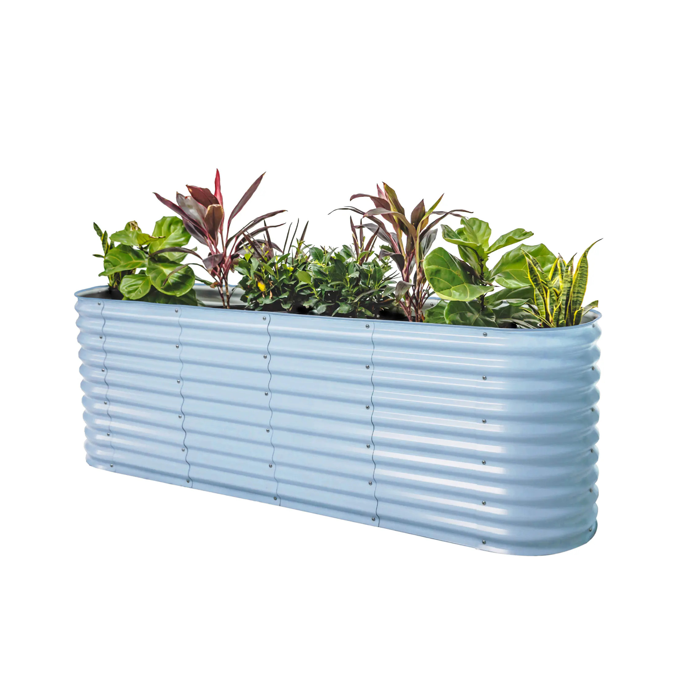Vego Garden 61-cu ft 42-in W x 78-in L x 32-in H Sky Blue Galvanized Metal Raised Garden Bed Large | VB9N132SB | Lowe's