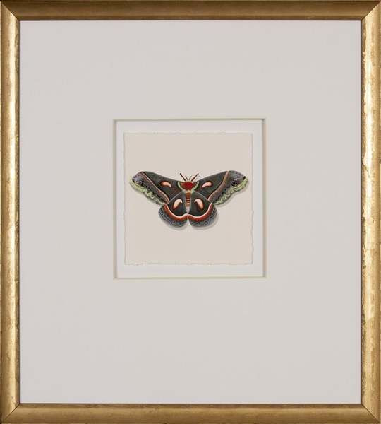 Velvet Wings III 15"x16" Watercolor Painting | Scout & Nimble