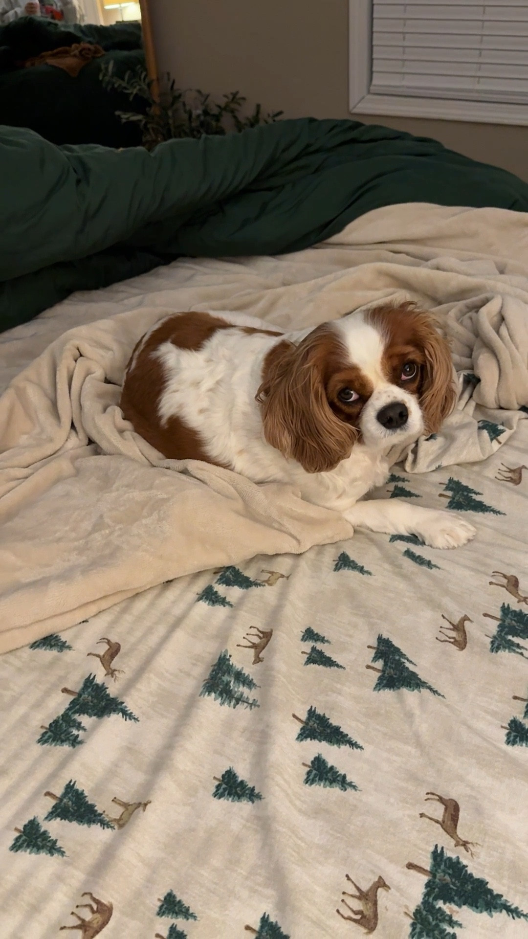 Piper believes the world was created just for her!

#LTKHome #LTKdayinmylife