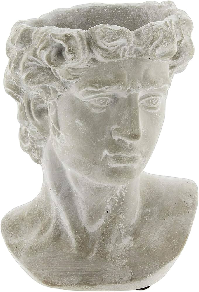 Greek Statue Head Cement Planter - Unique Sculpture Plant Pot for Indoor Outdoor Home Garden Deco... | Amazon (US)