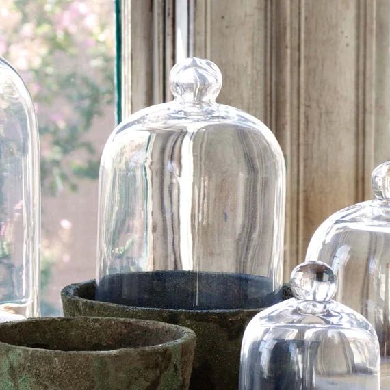 Glass Cloche Bell Jar | Etsy | Etsy (US)