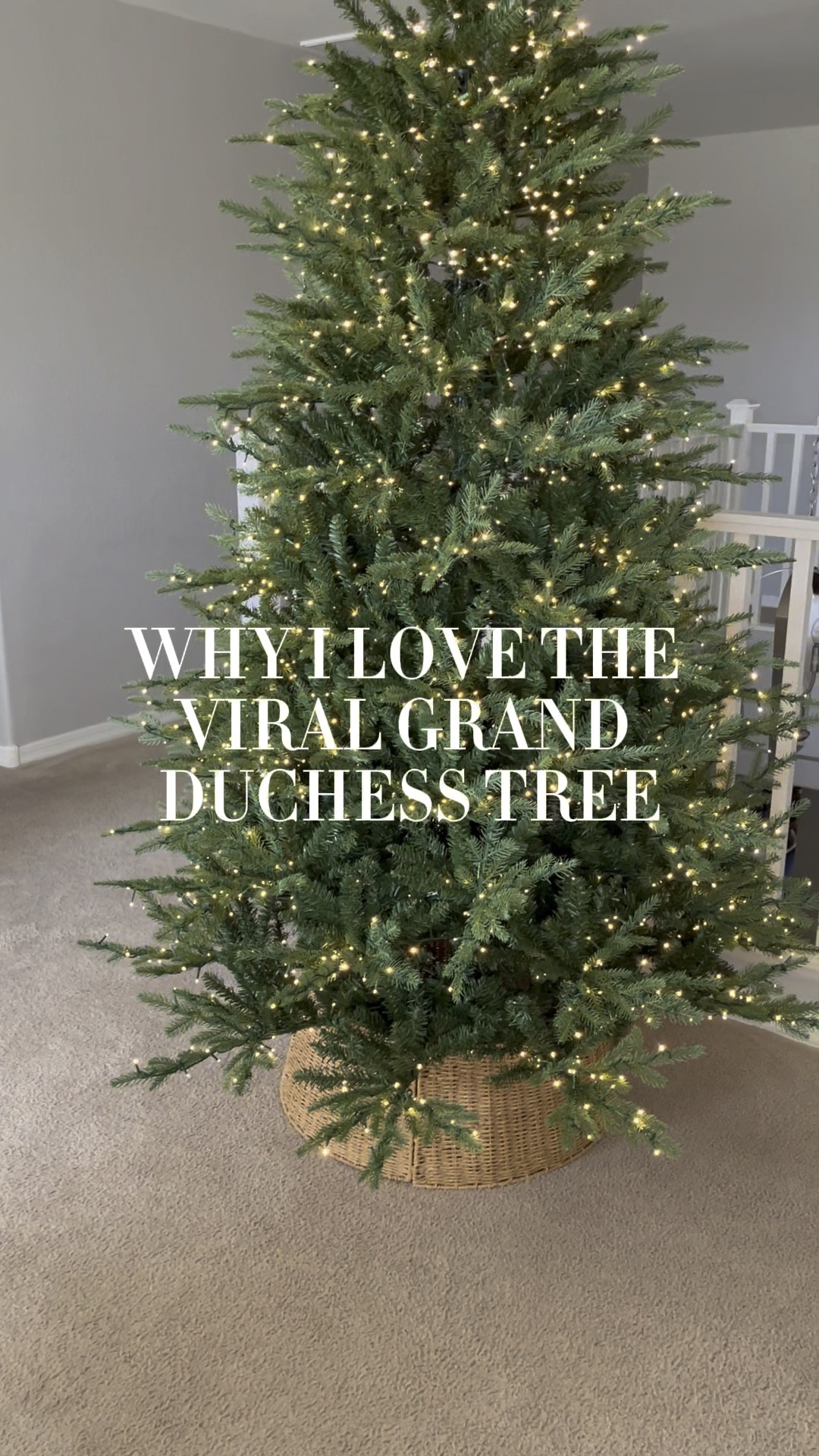 🌲Why I love the viral Grand Duchess tree?? 
We love this tree so much that we bought the 7.5 ft for the upstairs loft. We have the 9ft that we bought last year for downstairs. Also comes in 12ft.

This tree is so easy to set up, it just snaps together.
You don't have to fluff the branches; I used to spend so much time reshaping all my trees every year. It comes out of the box looking this amazing!
Has a foot pedal and a remote. The tree has LED lights and 11 light functions including being dimmable.
Then to top it off I found the most amazing vintage looking frosted glass tree star!! Being in the loft you can see all around the tree and this tree topper looks perfect from all sides. It's definitely the crown at the top of the tree!

#LTKVideo #LTKSeasonal #LTKHoliday