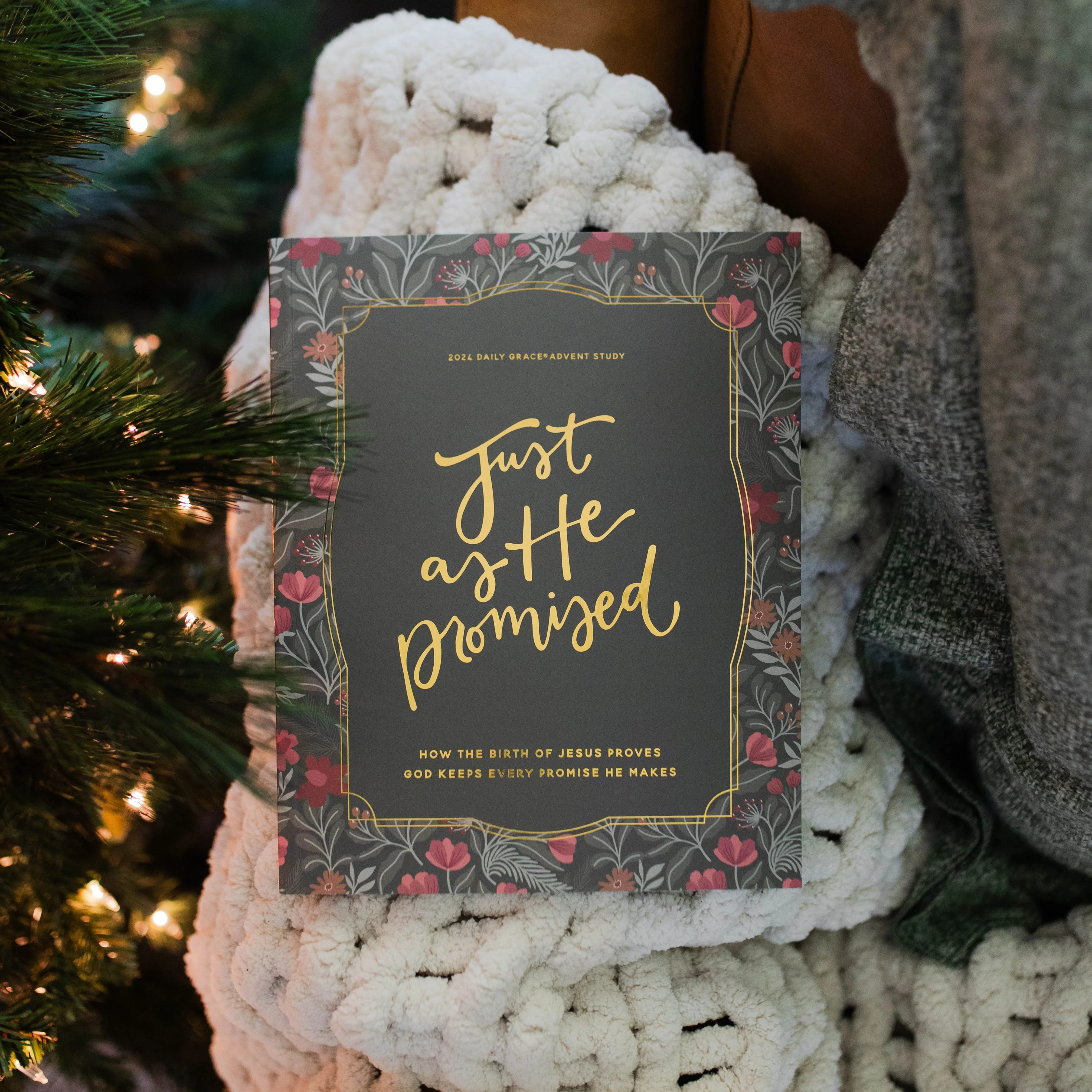 Just as He Promised | Advent Bible Study | The Daily Grace Co.