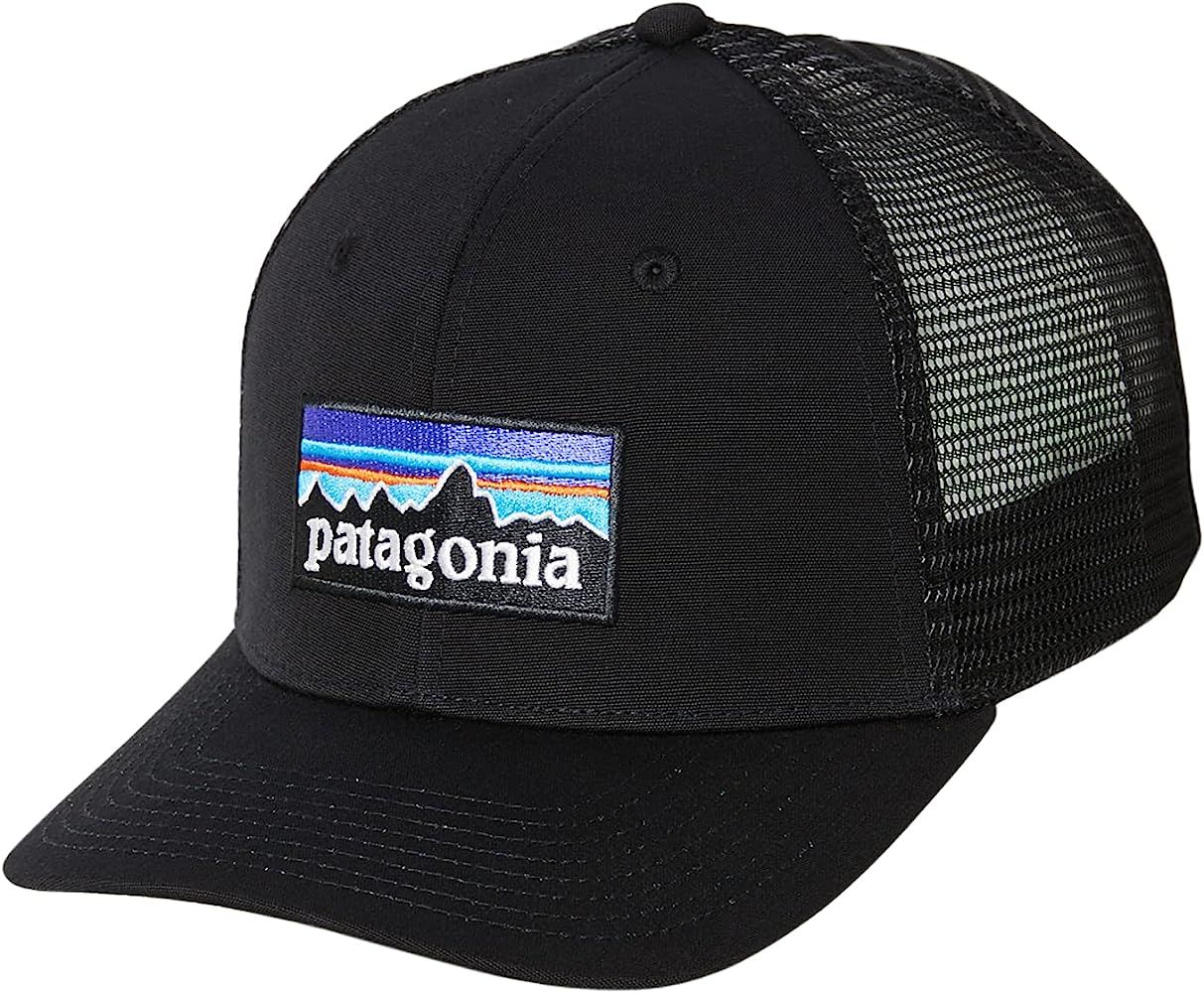 Patagonia P-6 Logo Trucker Hat | Amazon (US)