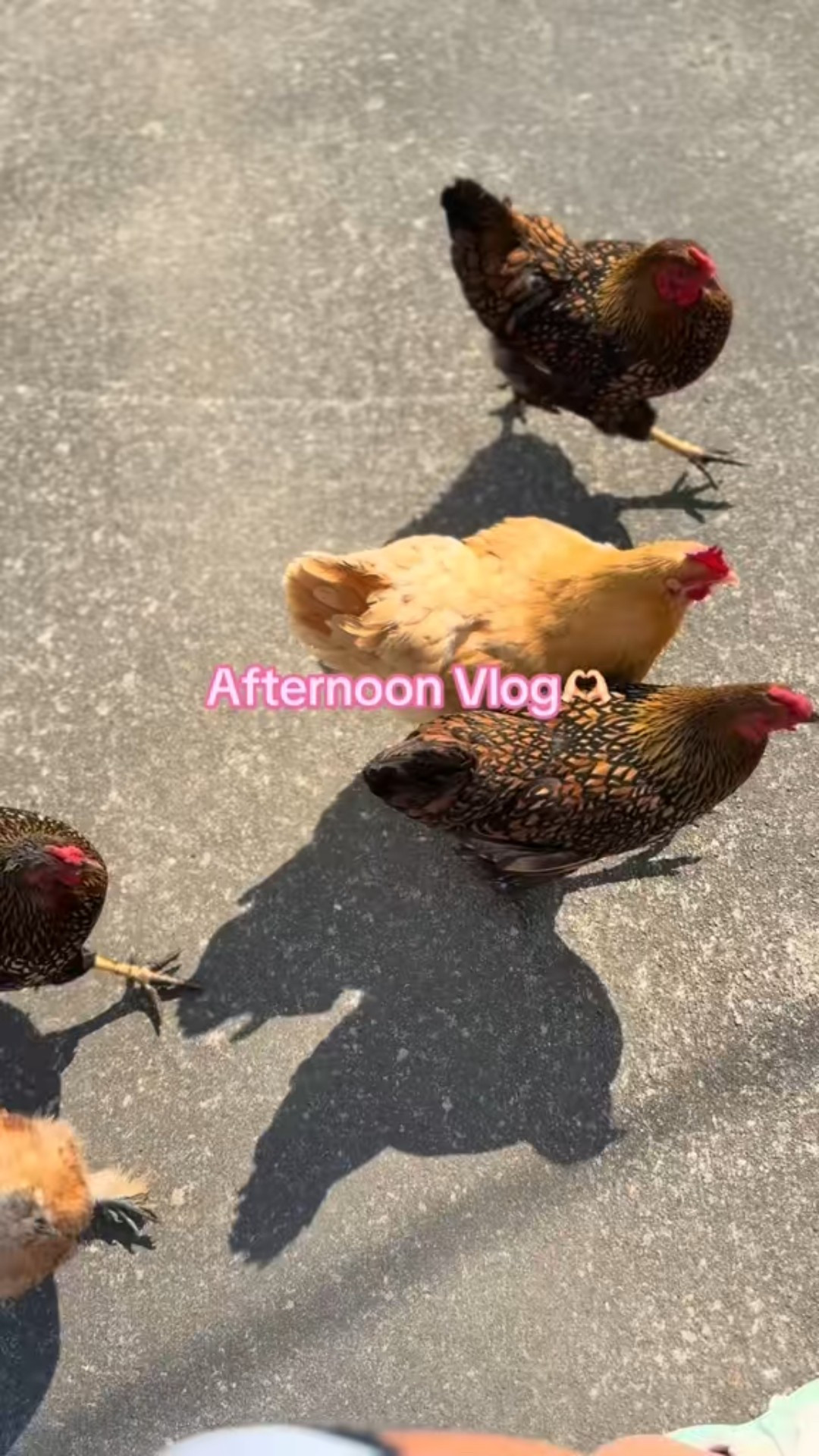 Obsessed with these new whitening strips!!