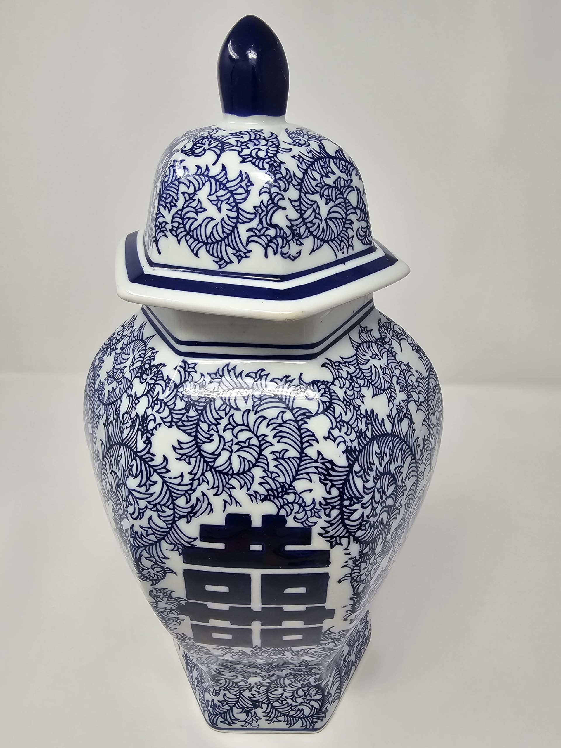 14" Classic Blue and White Porcelain Floral Temple Ginger Jar Vase, China Ming Style, Double Happ... | Amazon (US)