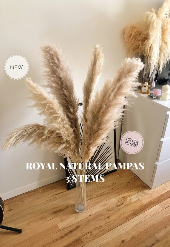 PAMPAS GRASS ROYAL 3 pcs Natural 43"  ExtraFluffy -Dried Cortaderia Selloana Boho Wedding Decor H... | Etsy (US)