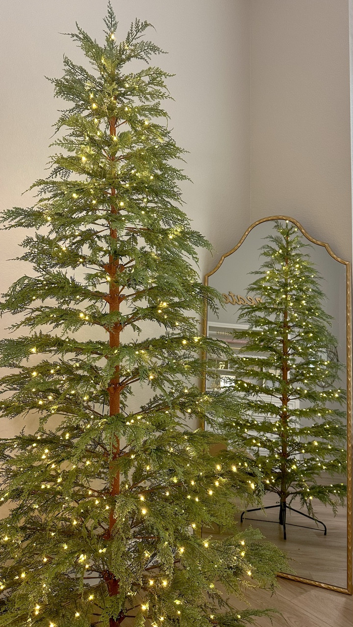 These viral Christmas trees are back in stock. The branches are incredibly soft and the tree practically shaped itself straight out of the box! They’re so pretty with or without decorations!

#LTKFindsUnder100 #LTKSeasonal #LTKHome