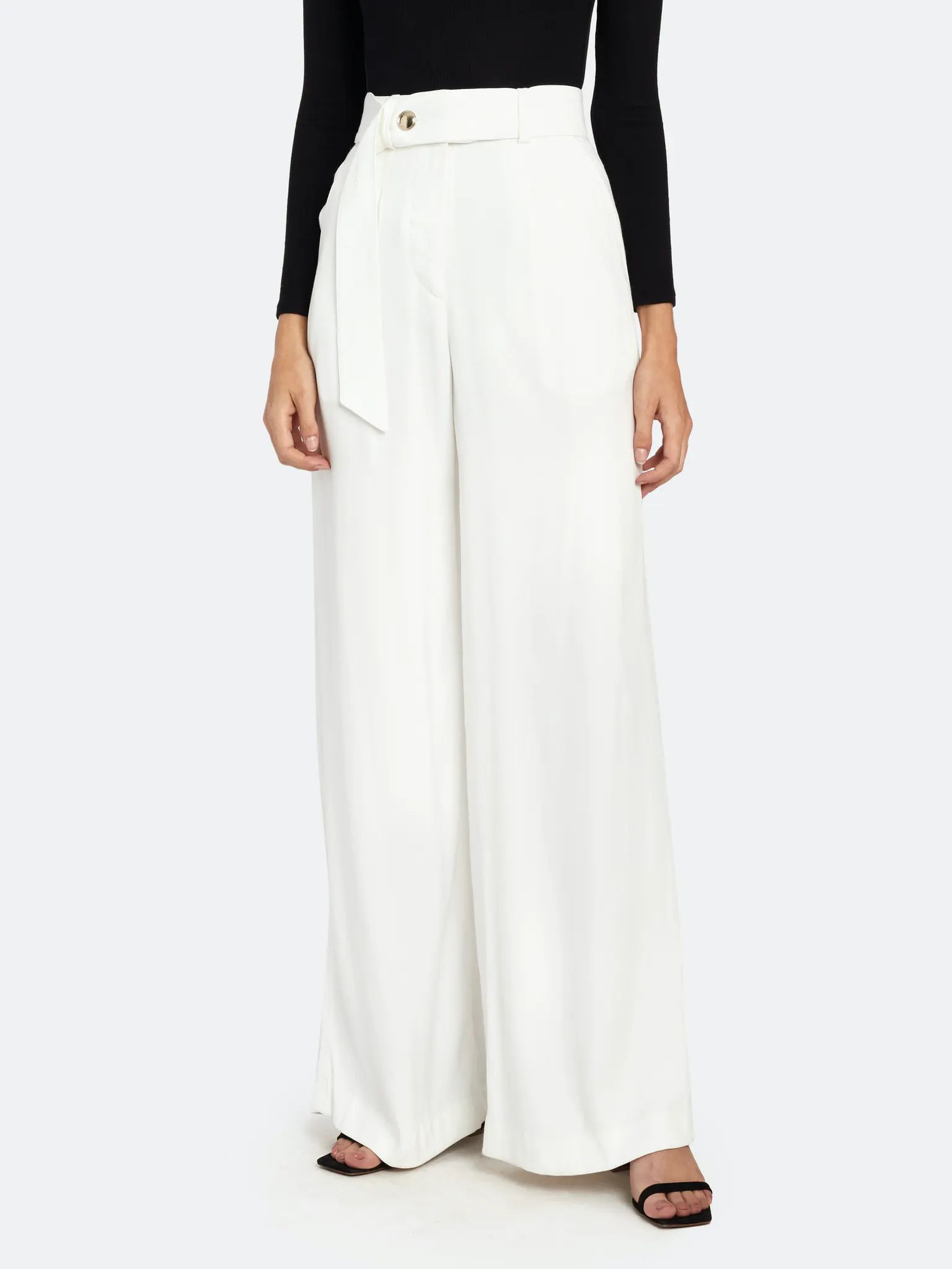 Hastro Belted Wide Leg Pants | Verishop