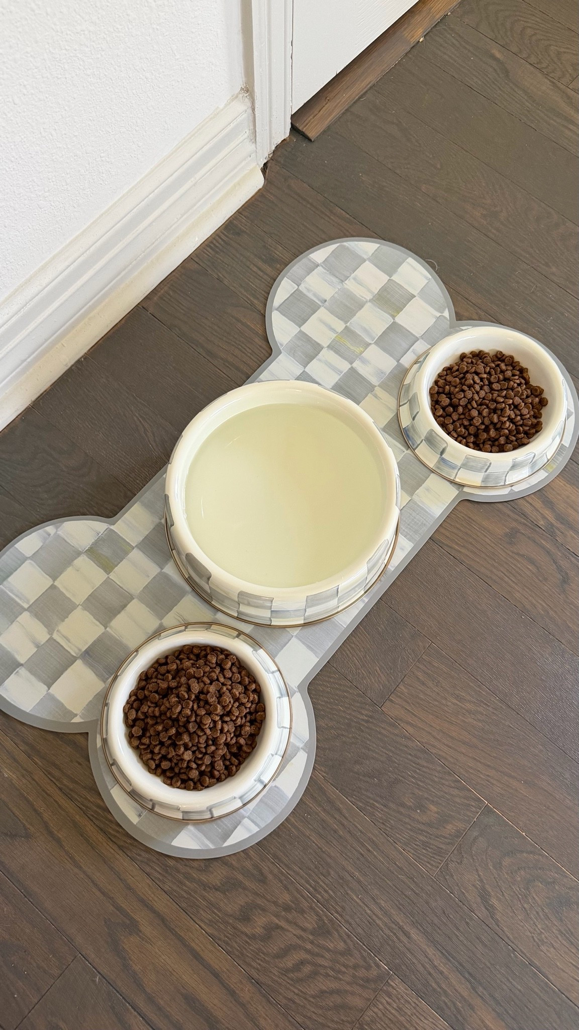 New mat, water and food bowl for the pups!!