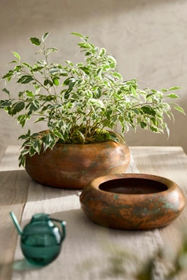 Round Shoulder Iron Bowl Planter | Anthropologie (US)