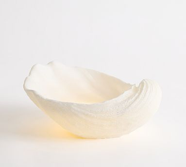 Lit Conch Shell   $39.50          SKU: 504179      3-year Allstate Protection Plan for $9.99 What... | Pottery Barn (US)