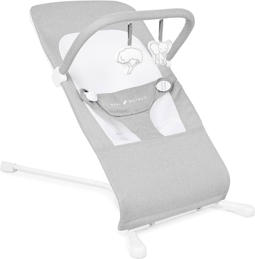 Baby Delight Highland Baby Bouncer | Infant | 0 – 6 Months | 3-Position Recline | Pebble Grey | Amazon (US)