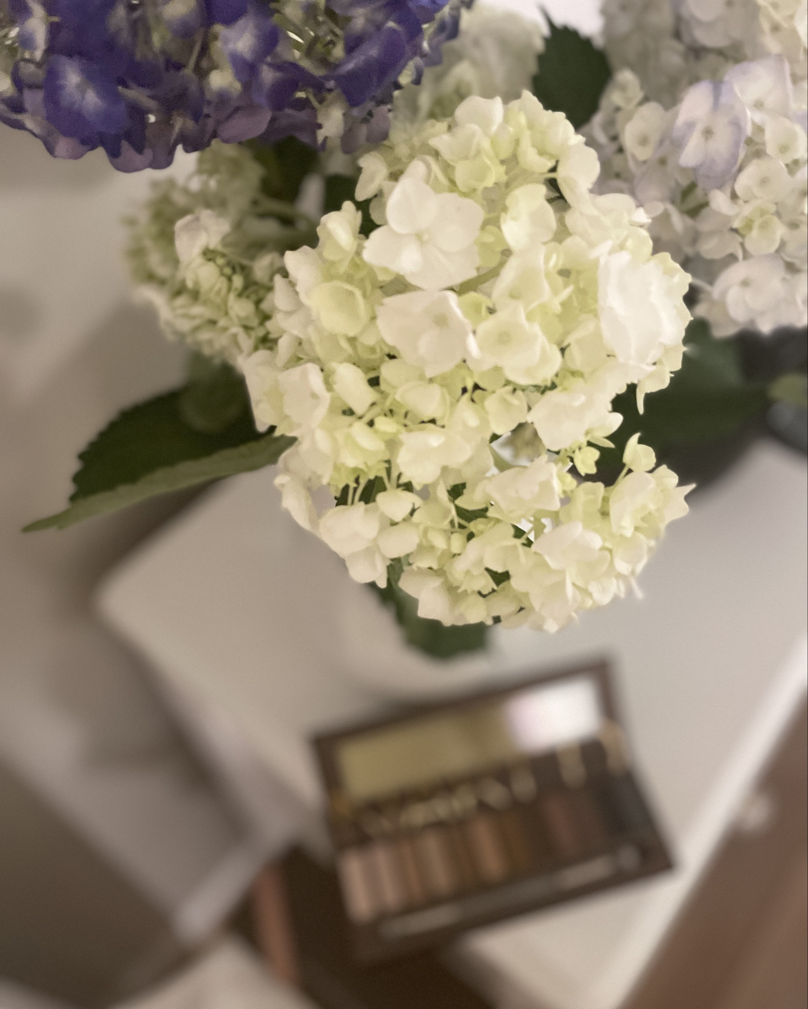 i’m not huge on eye makeup because honestly i’m just not that good but i couldn’t pass up the limited edition naked original eyeshadow palette by urban decay!

#LTKBeauty #LTKFindsUnder100 #LTKFindsUnder50