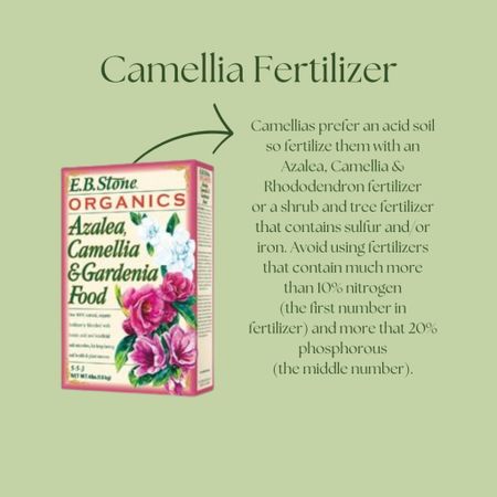 Camellia Fertilizer 💚

#LTKMostLoved #LTKSeasonal #LTKhome