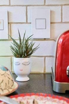 Legrand adorne 20Amp 1-Gang Pop-Out Outlet in Gloss White With Matching Wall Plate, ARPTR201GW2WP | Amazon (US)