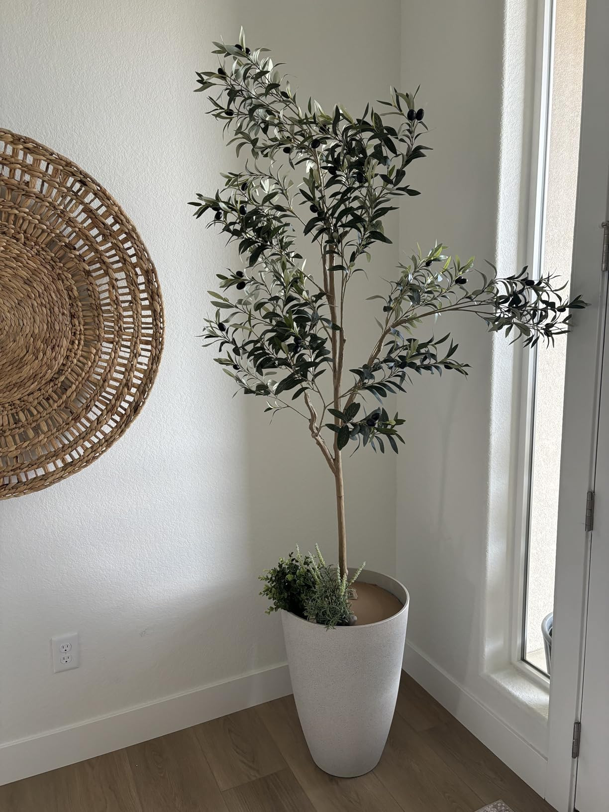 Artificial Olive Tree, 6FT Tall Faux Silk Plant Artificial Tree in Potted Oliver Branch Leaves an... | Amazon (US)