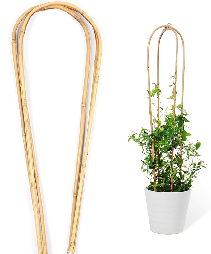 Natural Bamboo Plant Trellis U-Hoop 4 Feet Arch Bamboo Garden Trellis Support for Climbing Plants... | Amazon (US)