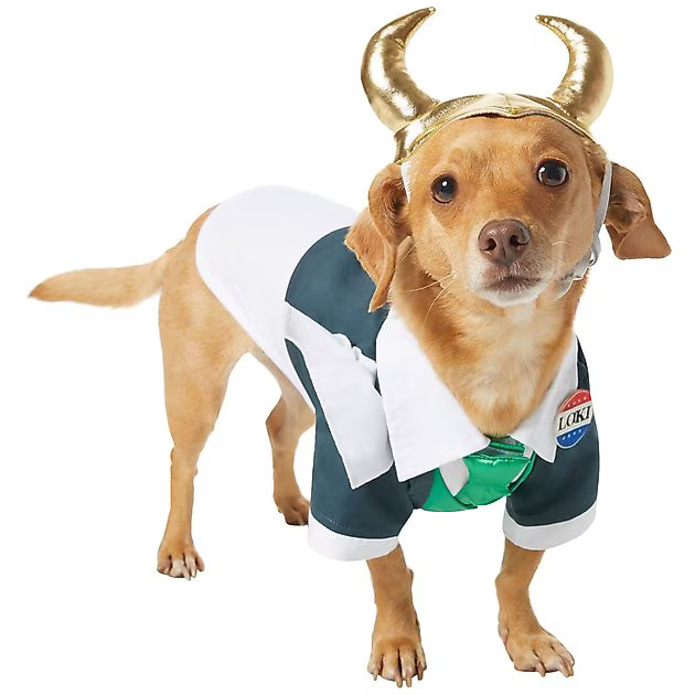 MARVEL 's Loki President Dog & Cat Costume, Medium - Chewy.com | Chewy.com