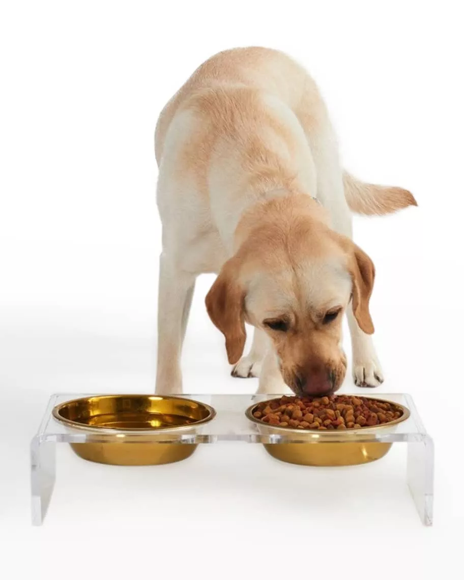 Large Clear Double Dog Bowl Feeder with Gold Bowls