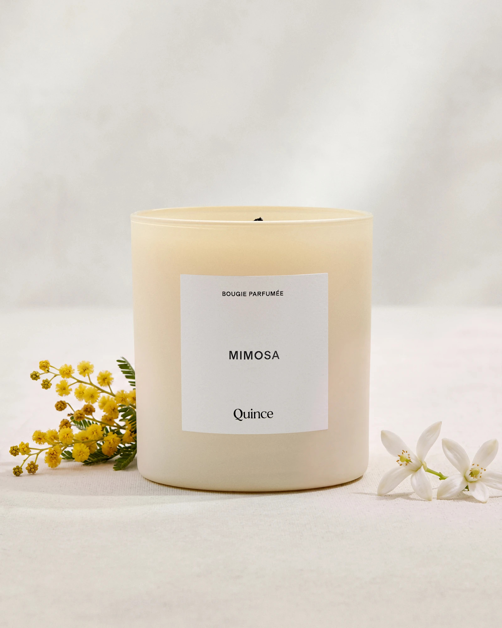 Quince | Mimosa Candle, Plant-Based Wax | Quince
