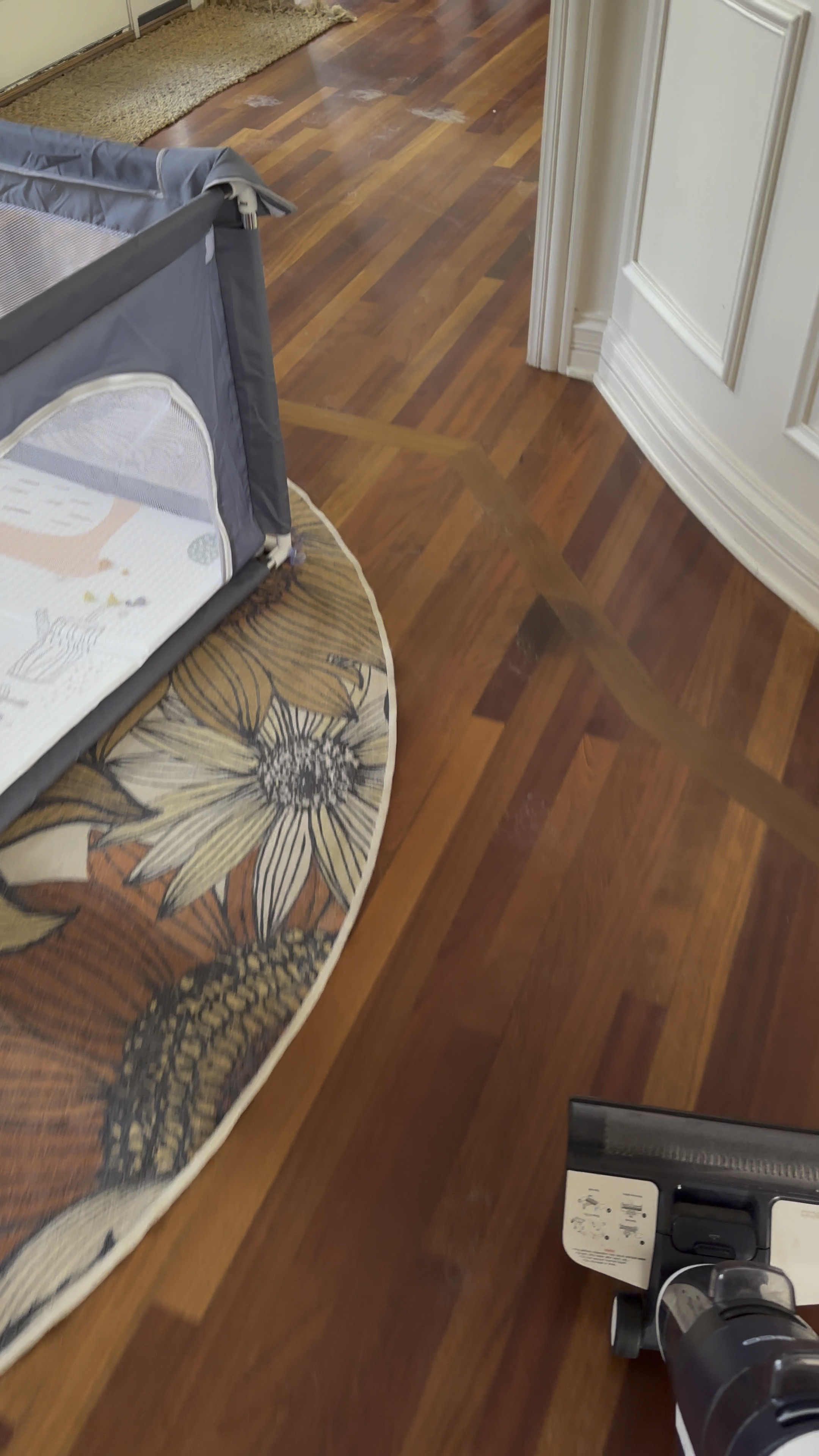 Every pet owner needs this vac mop 

#LTKhome #LTKFind #LTKfamily