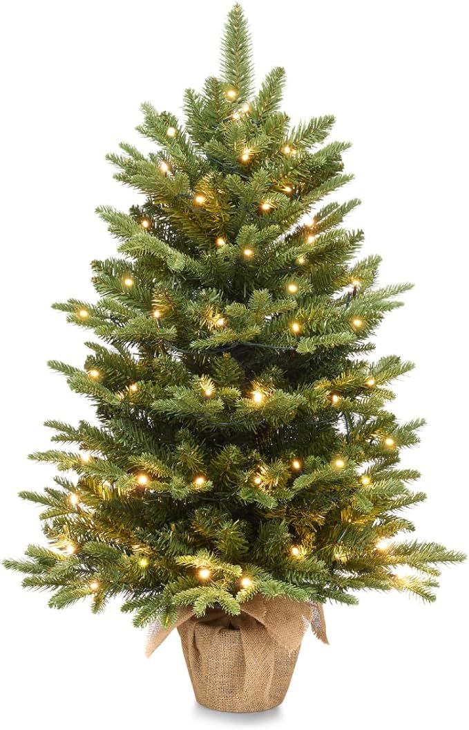 Somikis 3ft Pre-Lit Premium Artificial Mini Christmas Tree with 85 LED Lights and Realistic Nordi... | Amazon (US)