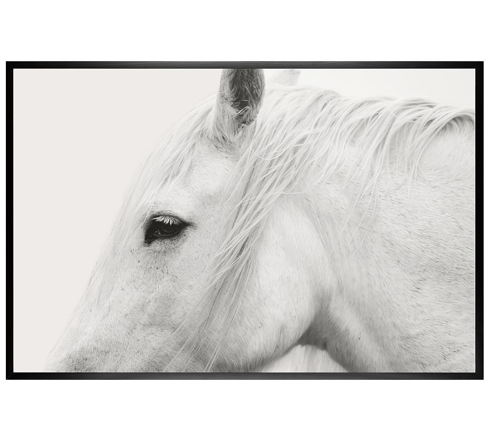 White Horse Framed Print by Jennifer Meyers | Pottery Barn (US)
