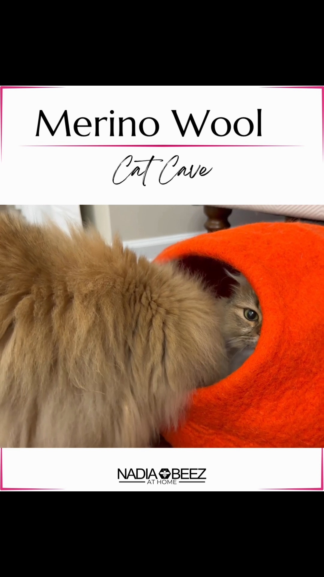 Merino wool cat cave they will love

#LTKHome #LTKdayinmylife