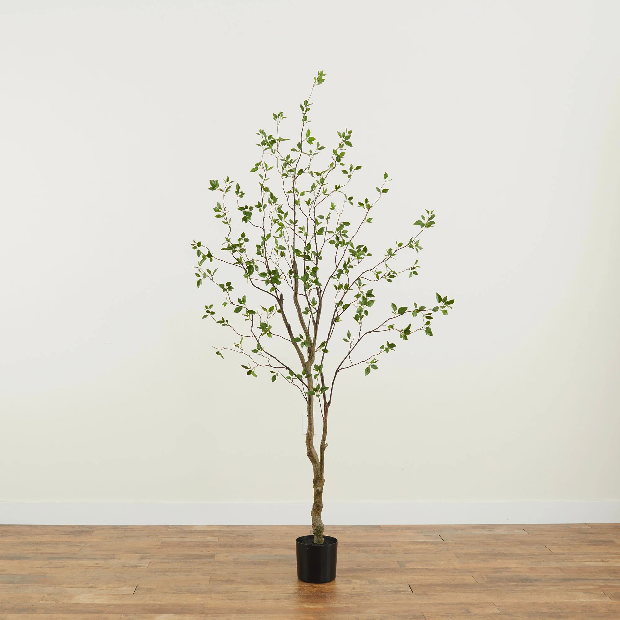 Faux Foliage Tree in Pot | Wayfair North America