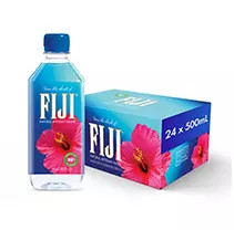 Fiji Natural Artesian Water (500 ml, 24 pk.) | Sam's Club