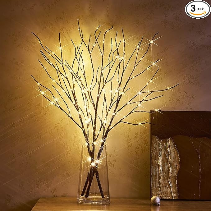 Hairui Lighted Brown Twig Branches Plug in with Dimmer and Timer 30IN 150 LED Fairy Lights, Light... | Amazon (US)