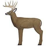 Shooter Buck 3D Deer Archery Target with Replaceable Core, Brown | Amazon (US)